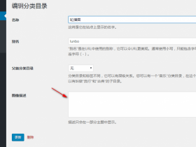 wordpress怎么调用分类描述以及去除分类描述中的p标签