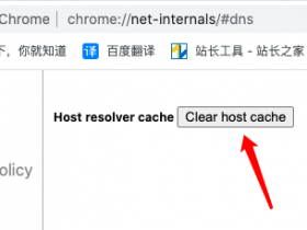 谷歌浏览器如何清除dns缓存