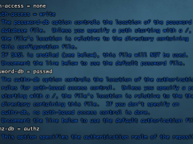 svn的安装以及使用方法